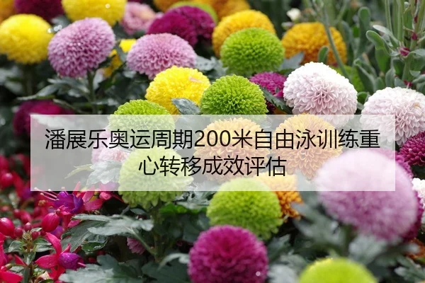 潘展乐奥运周期200米自由泳训练重心转移成效评估
